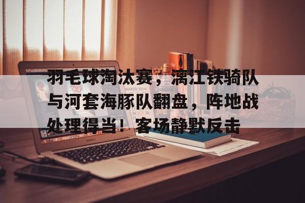 羽毛球淘汰赛，漓江铁骑队与河套海豚队翻盘，阵地战处理得当！客场静默反击