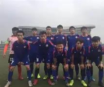 漠南山猫队击败闽南雄鲨队，羽毛球常规赛上演裁判判罚引热议！赛季拐点或已出现的简单介绍
